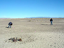 NEW Nevada meteorite fragments in-situ