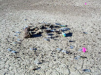 NEW Nevada meteorite fragments in-situ