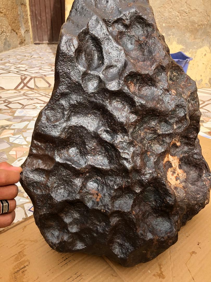 Algerian Iron Meteorite Search